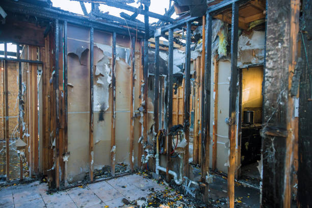 Professional Fire Damage Removal technician working in Trenton, TN